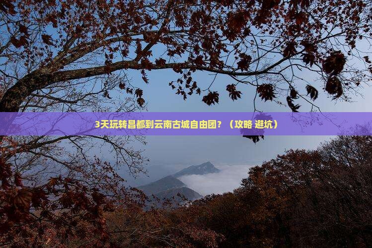 昌都到云南古城自由团