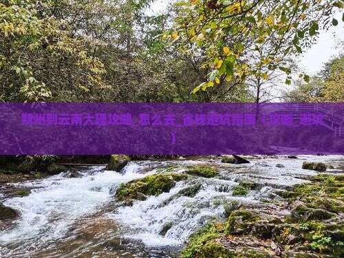 朔州到云南大理攻略
