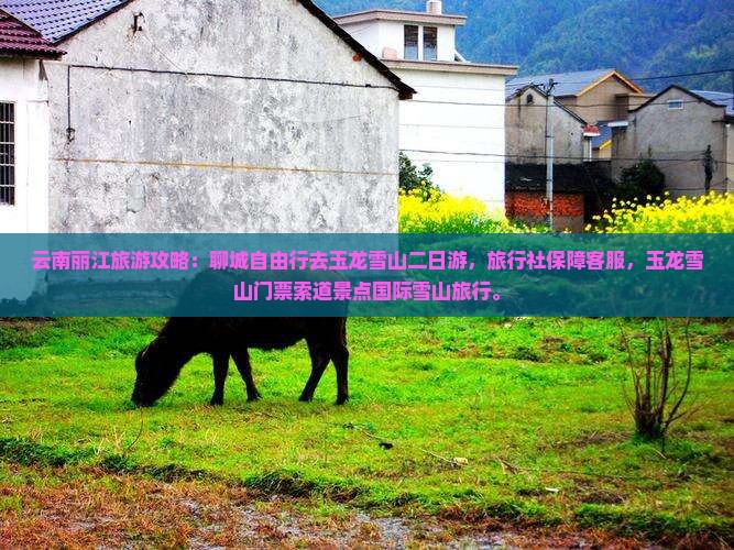 聊城去云南玉龙雪山二日游