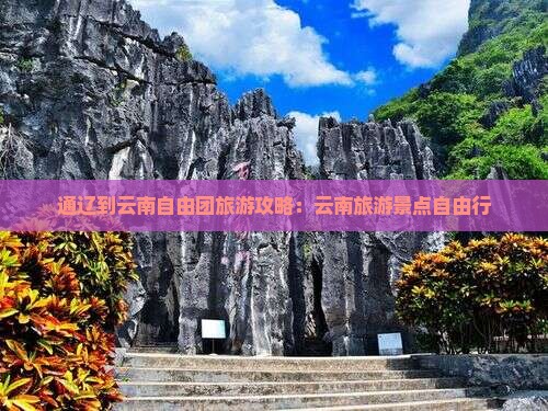 通辽到云南自由团
