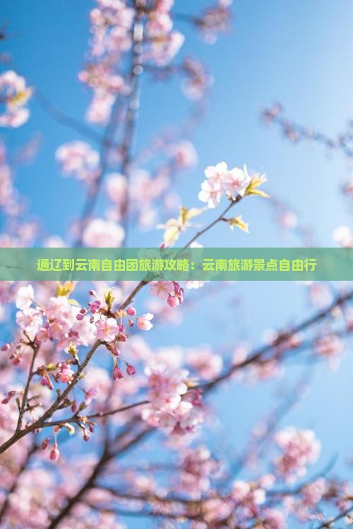 通辽到云南自由团