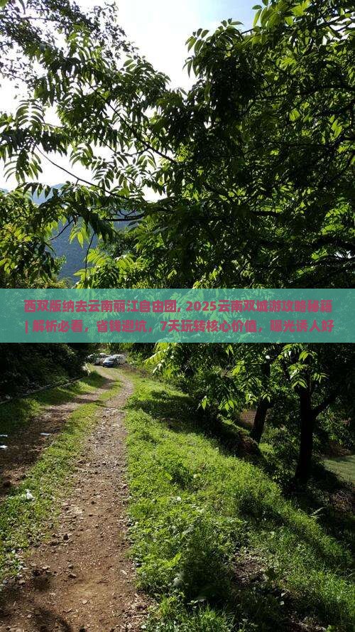 西双版纳去云南丽江自由团