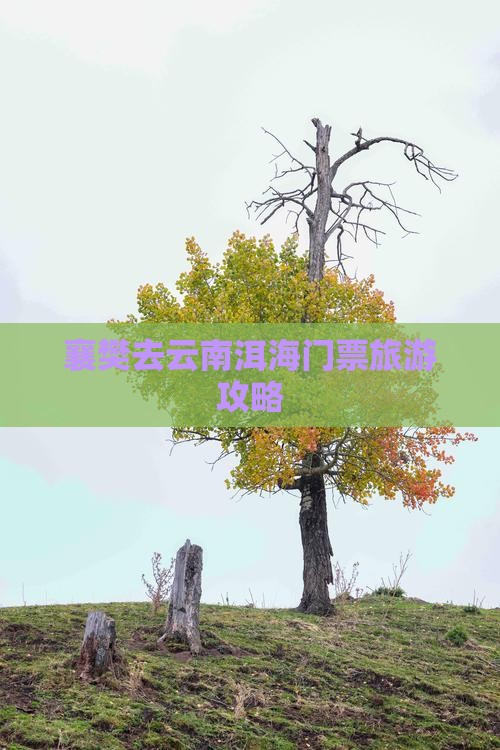 襄樊去云南洱海门票