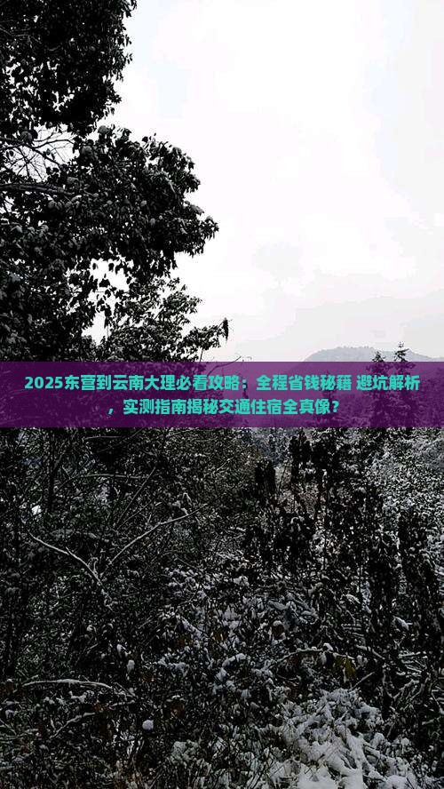 东营到云南大理攻略