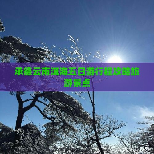承德去云南洱海五日游
