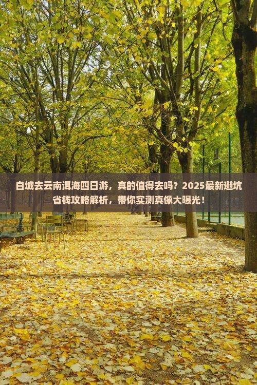 白城去云南洱海四日游