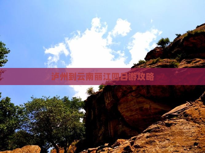 泸州到云南丽江四日游