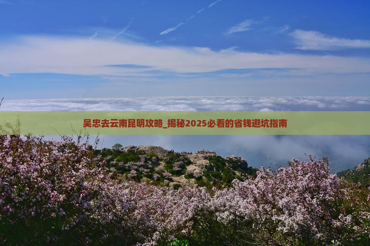 吴忠去云南昆明攻略