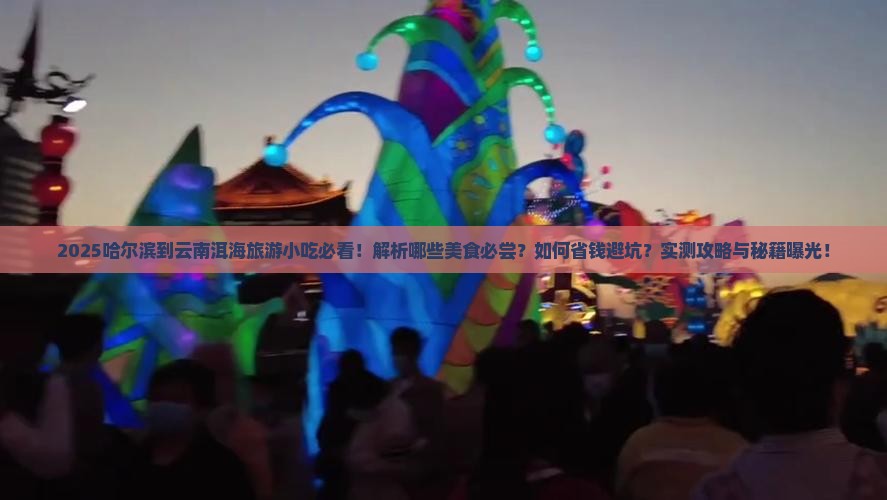 哈尔滨到云南洱海旅游小吃