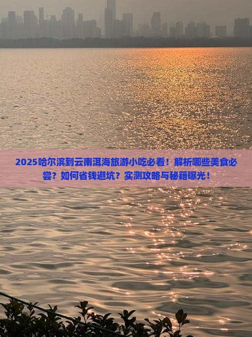哈尔滨到云南洱海旅游小吃