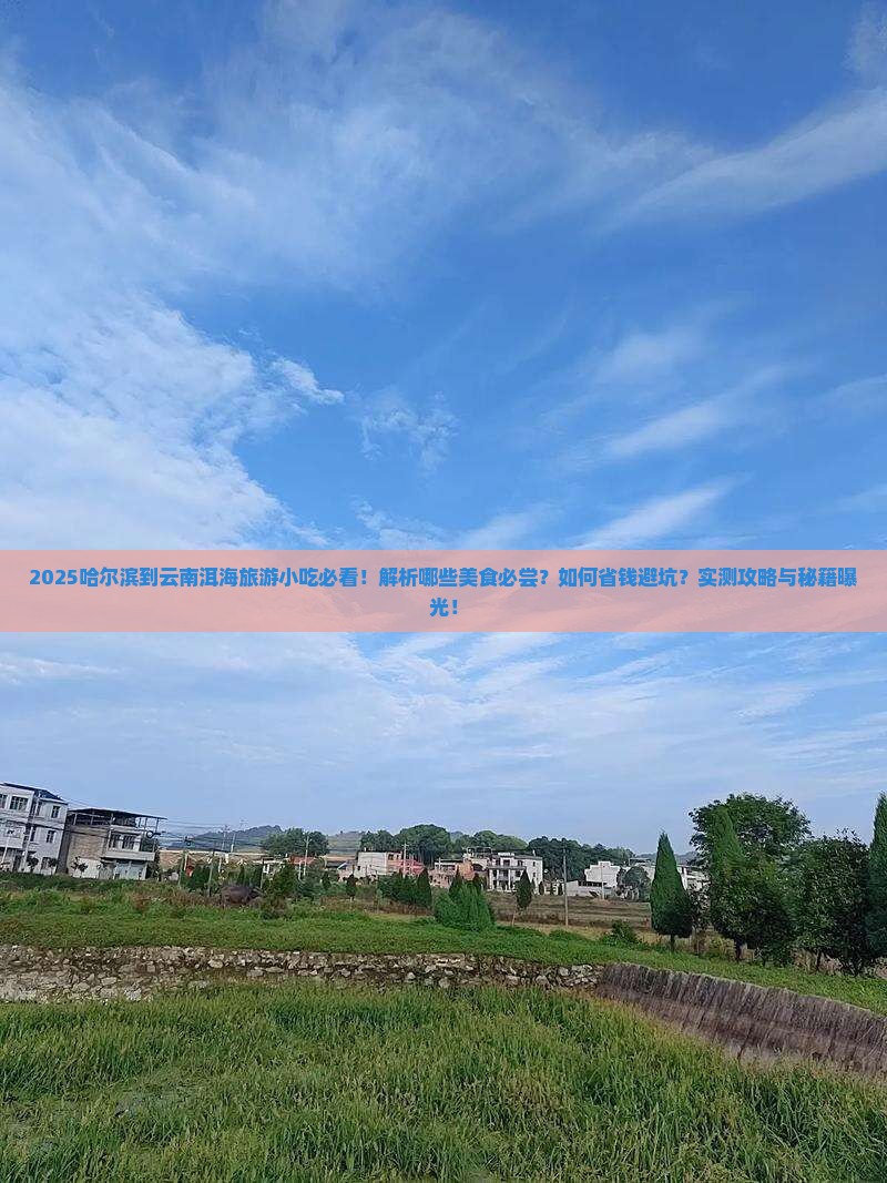 哈尔滨到云南洱海旅游小吃