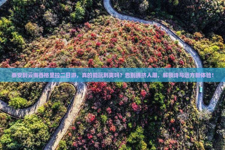 泰安到云南香格里拉二日游