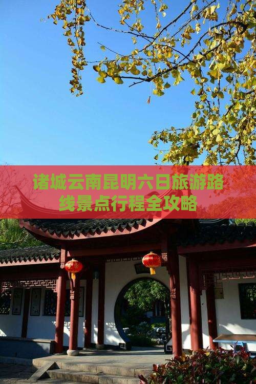 诸城去云南昆明六日游