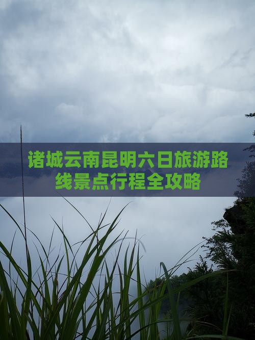 诸城去云南昆明六日游