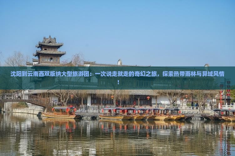 沈阳到云南西双版纳大型旅游团