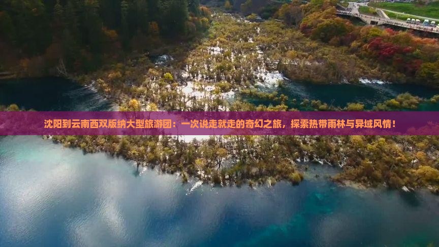 沈阳到云南西双版纳大型旅游团
