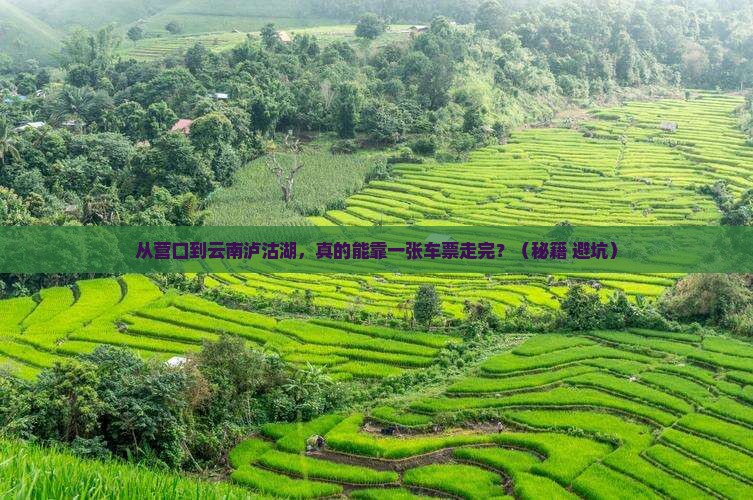 营口到云南泸沽湖攻略