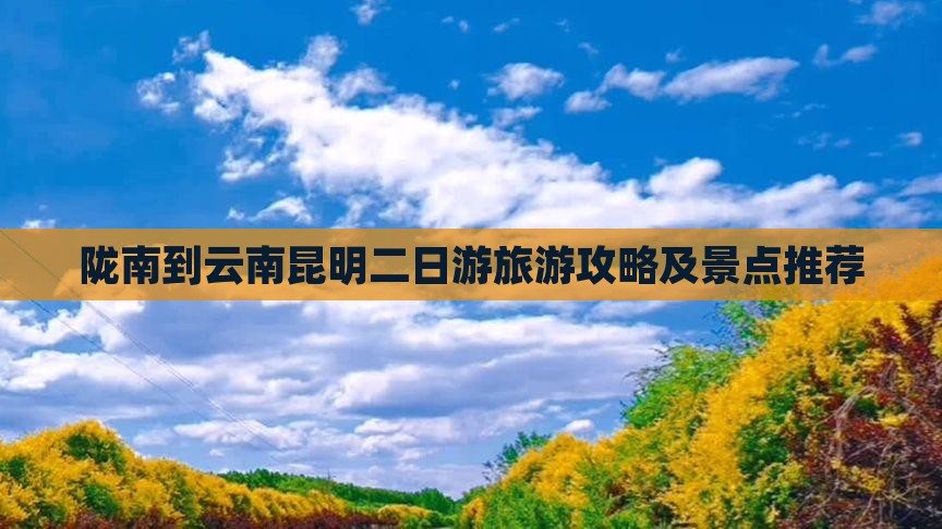 陇南到云南昆明二日游