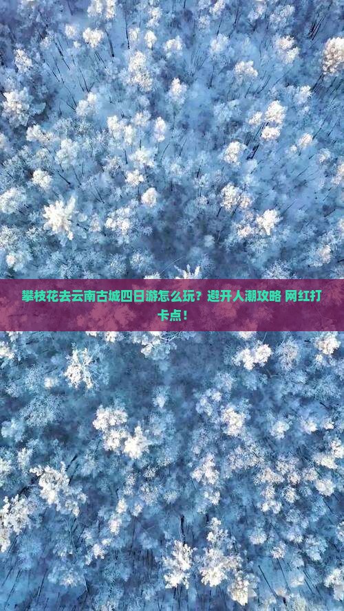 攀枝花去云南古城四日游