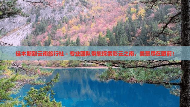 佳木斯到云南旅行社