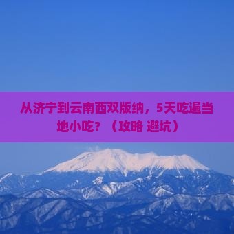 济宁到云南西双版纳旅游小吃