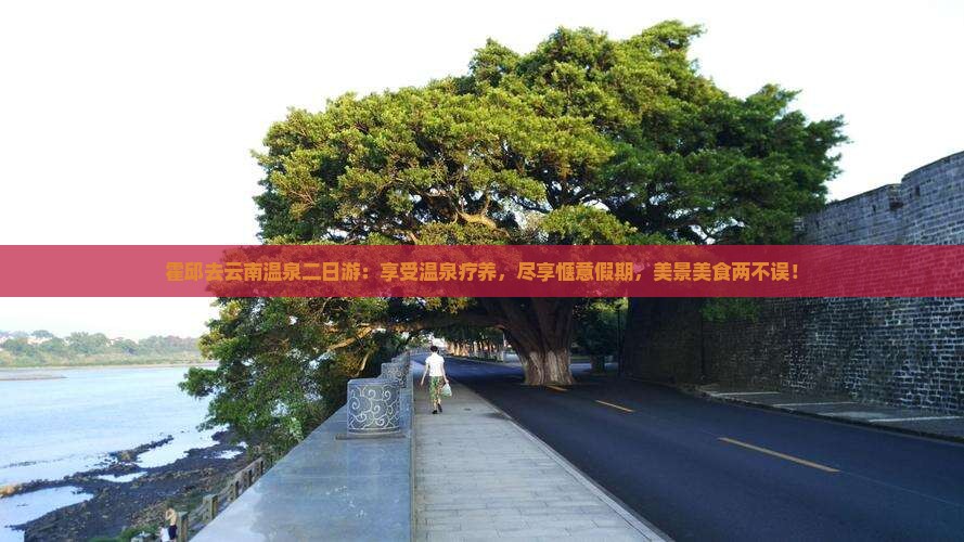 霍邱去云南温泉二日游
