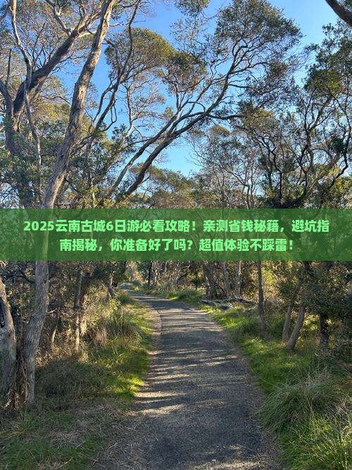 六月到云南古城大型旅游团
