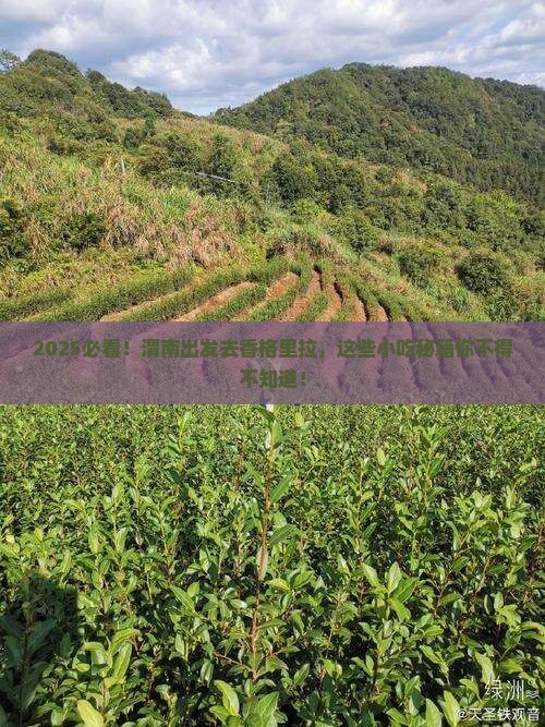 渭南去云南香格里拉旅游小吃