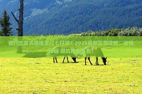 铜川去云南香格里拉七日游