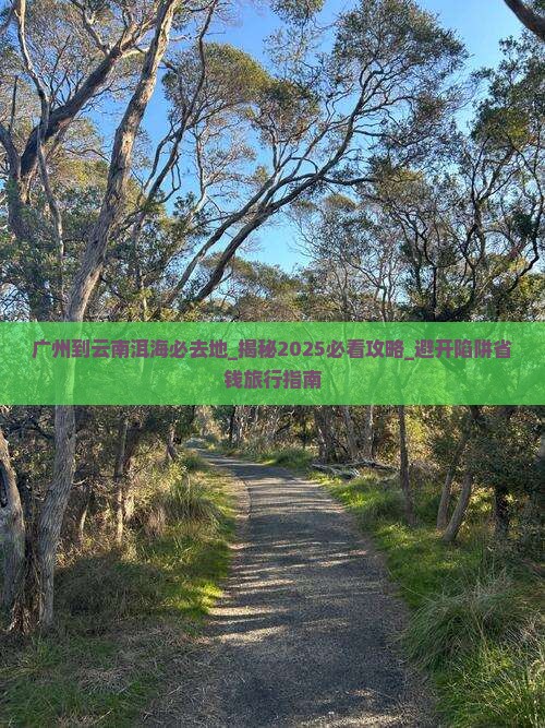 广州到云南洱海必去地