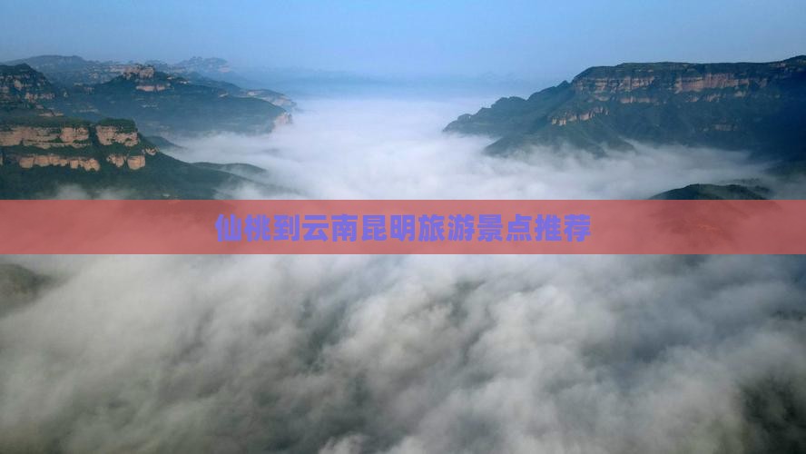 仙桃到云南昆明团体旅游
