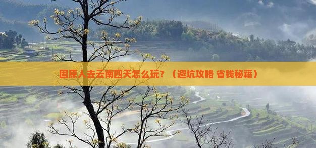 固原去云南四日游