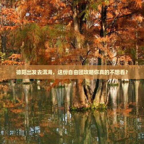 德阳到云南洱海自由团