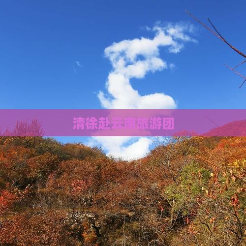 清徐去云南昆明大型旅游团
