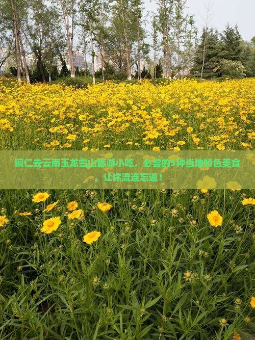 铜仁去云南玉龙雪山旅游小吃