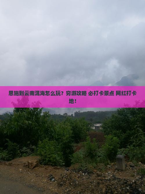 恩施到云南洱海旅行社