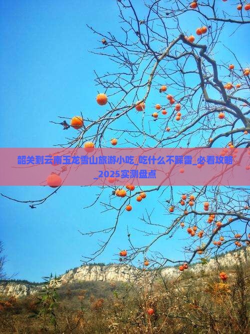 韶关到云南玉龙雪山旅游小吃 韶关到云南玉龙雪山旅游小吃