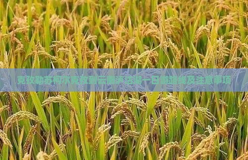 克孜勒苏柯尔克孜到云南泸沽湖一日