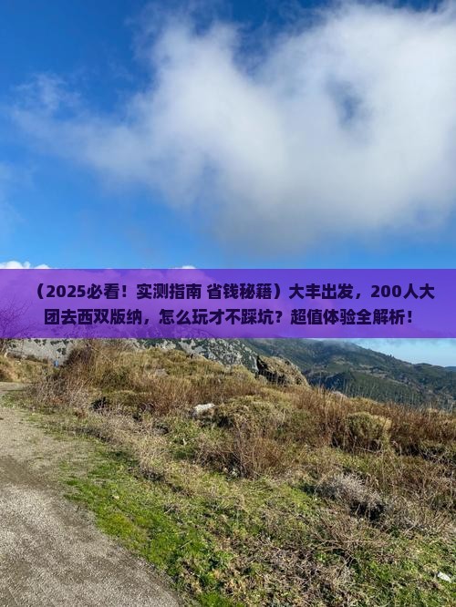 大丰到云南西双版纳大型旅游团