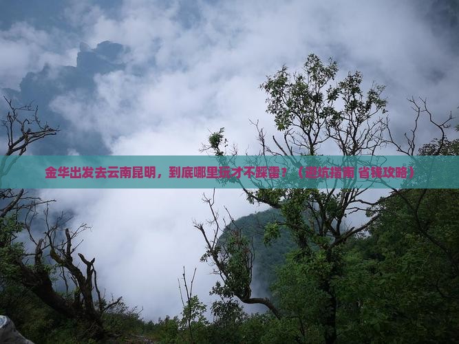 金华到云南昆明哪里玩