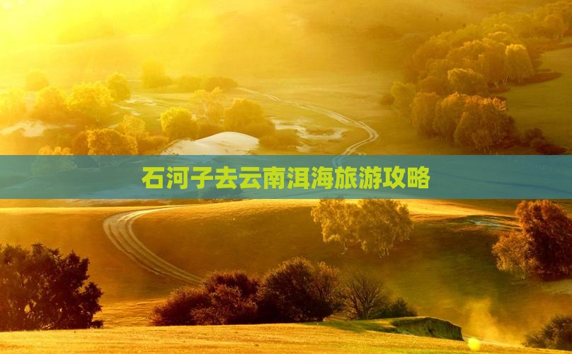 石河子去云南洱海二日游 石河子去云南洱海二日游