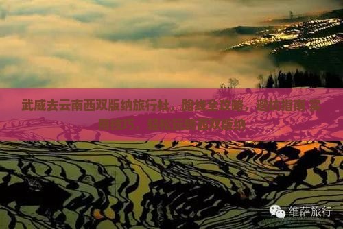 武威去云南西双版纳旅行社
