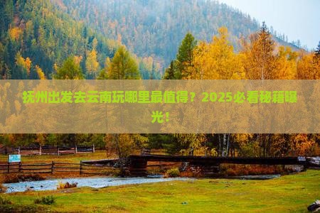 抚州去云南哪里玩