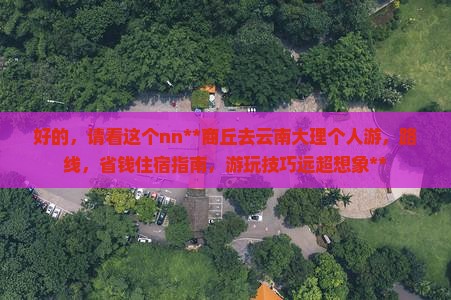 商丘去云南大理个人游