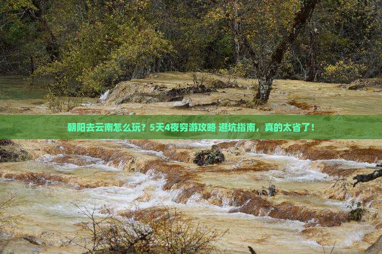 朝阳去云南门票