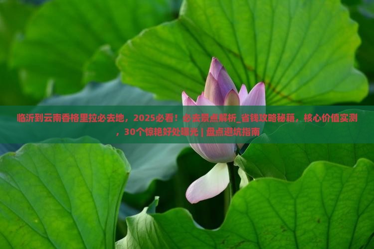 临沂到云南香格里拉必去地