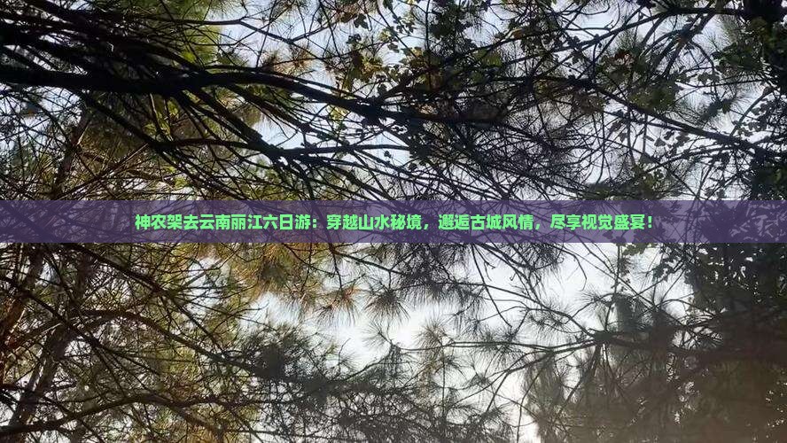 神农架去云南丽江六日游