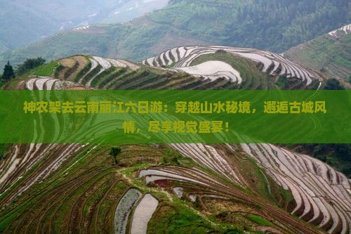 神农架去云南丽江六日游
