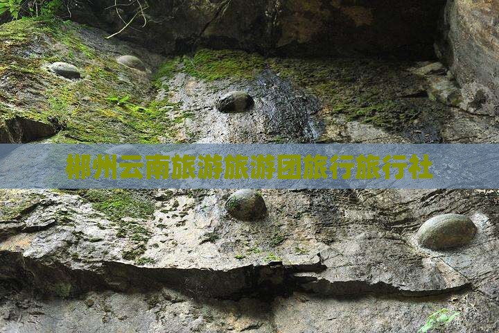 郴州去云南昆明旅行社