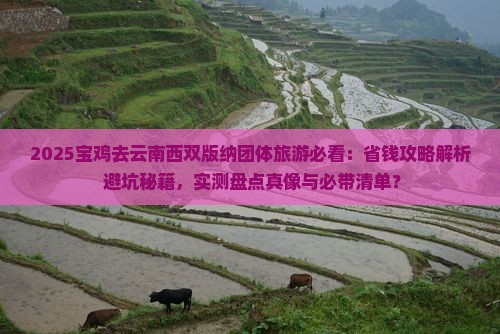 宝鸡去云南西双版纳团体旅游